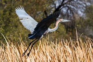 IMG_7588-3