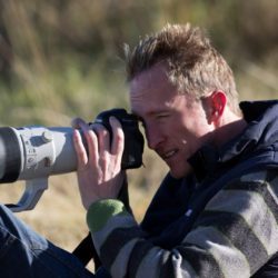 birdwatcher