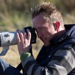 birdwatcher