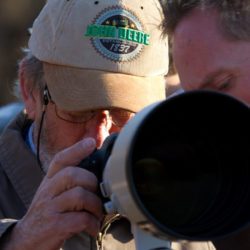 birdwatcher