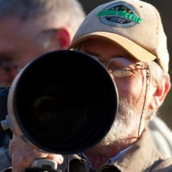 birdwatcher