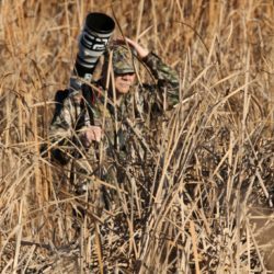birdwatcher