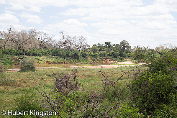Levubu River - Kruger National Park